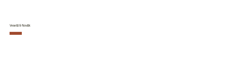 Veselý & Novák logo